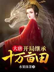 大唐开局继承十万亩田完结全本